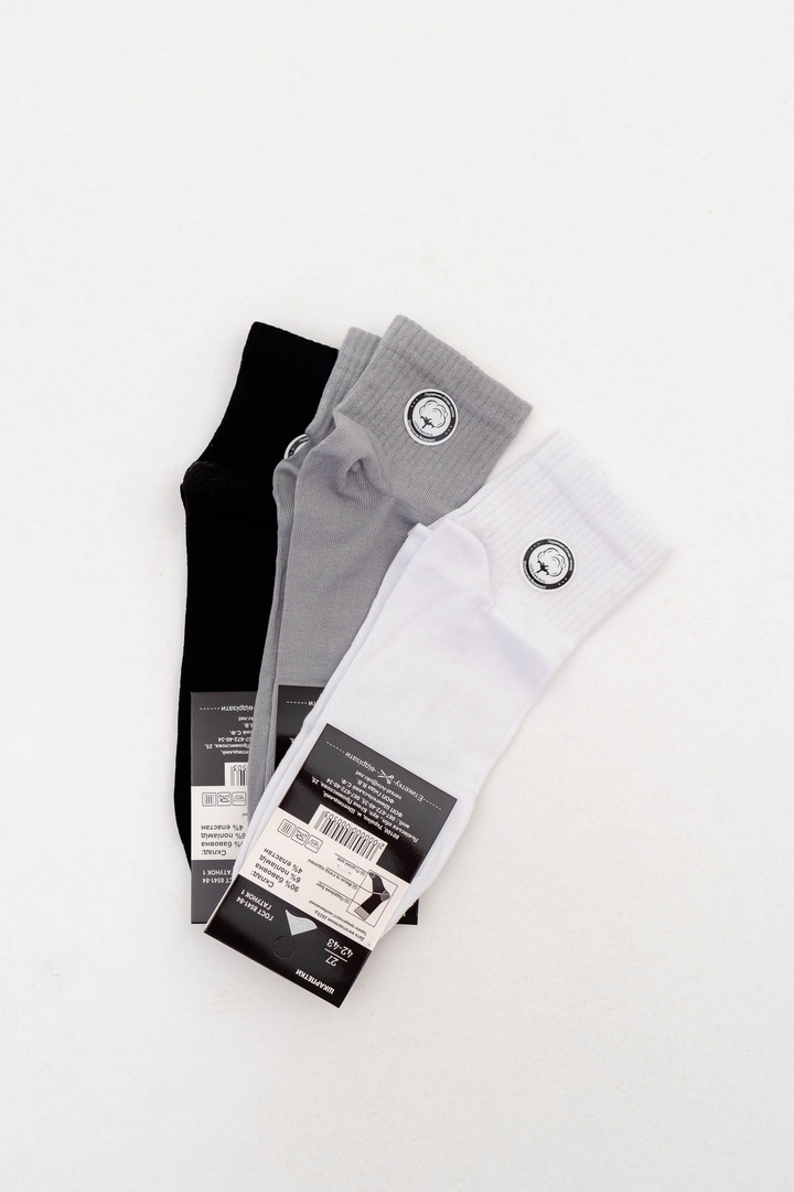 Шкарпетки чоловічі середні (демісезонні)