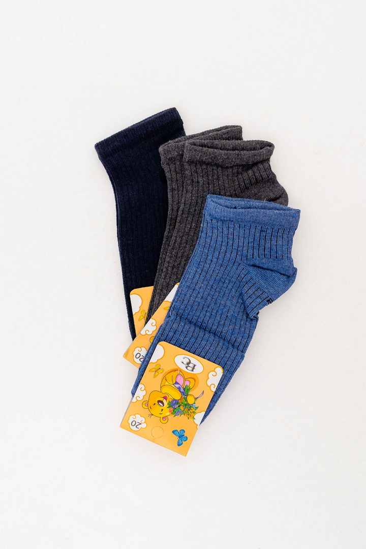 Шкарпетки для хлопчика демісезонні 