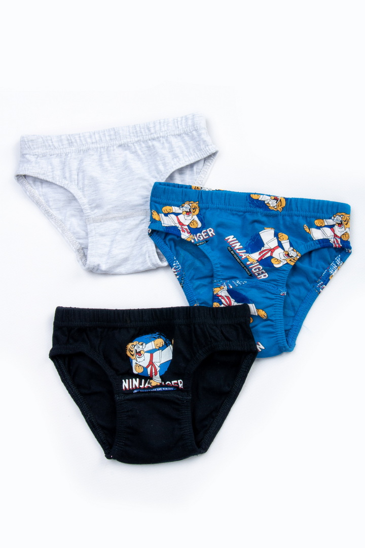 Набір трусів для хлопчиків (з 3-х штук)